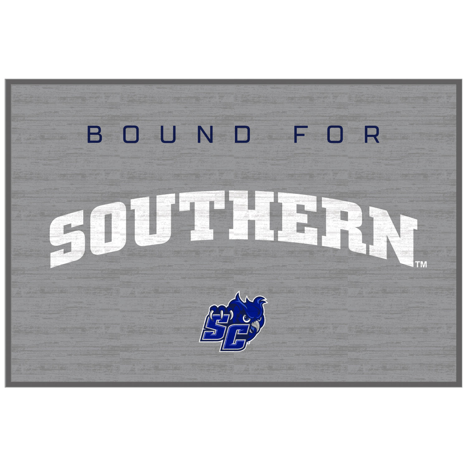 Southern Connecticut State Owls 20'' x 30'' School Bound Floor Mat