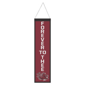 WinCraft South Carolina Gamecocks 8" x 32" Slogan Wool Banner