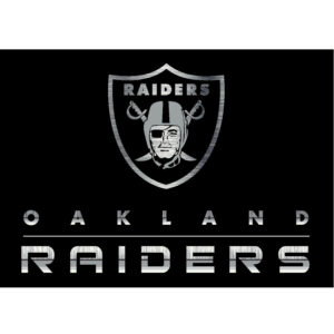Las Vegas Raiders Imperial 3'10'' x 5'4'' Chrome Rug