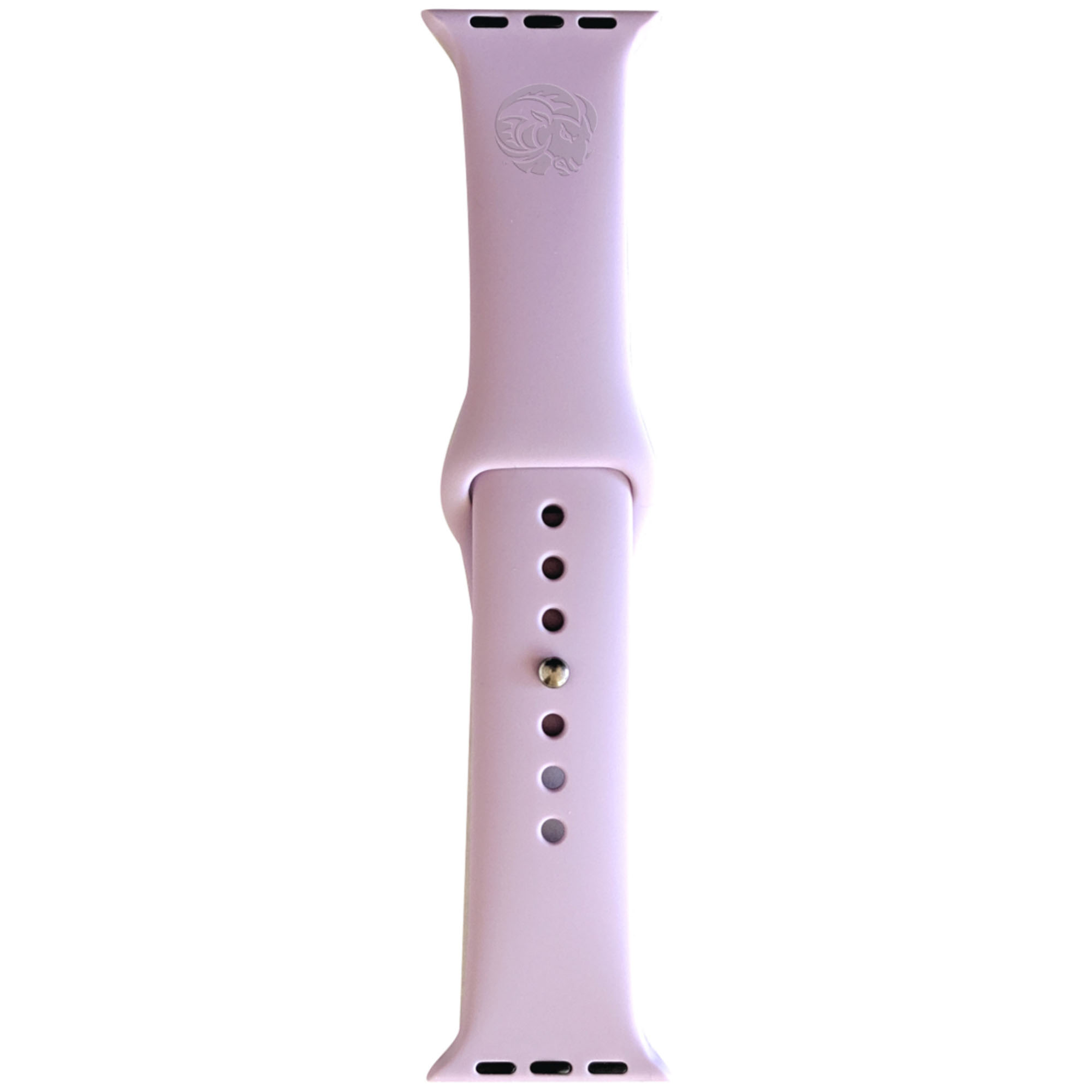 Purple Winston-Salem State Rams 38-40mm Apple Watch Band