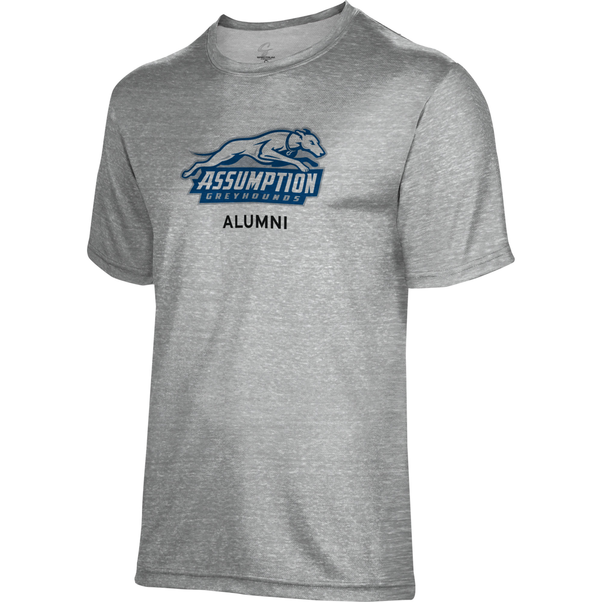 Men's ProSphere Gray Assumption Greyhounds Alumni T-Shirt - Image 3