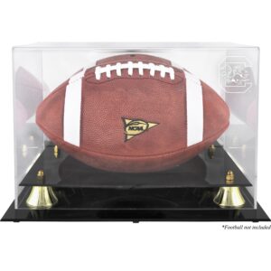 South Carolina Gamecocks Golden Classic Logo Football Display Case with Mirror Back