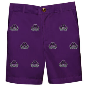Youth Purple Central Arkansas Bears Team Logo Structured Shorts
