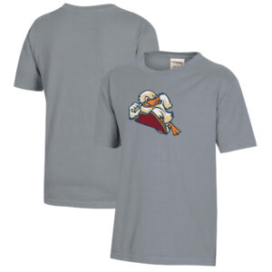 Youth  Gray Stevens Institute of Technology Ducks Logo Comfort Wash T-Shirt