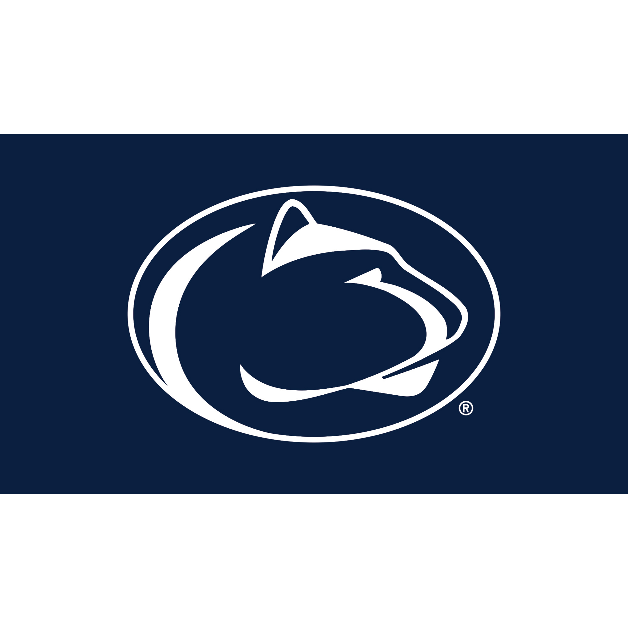 Penn State Nittany Lions 28" x 16" Turf Mat