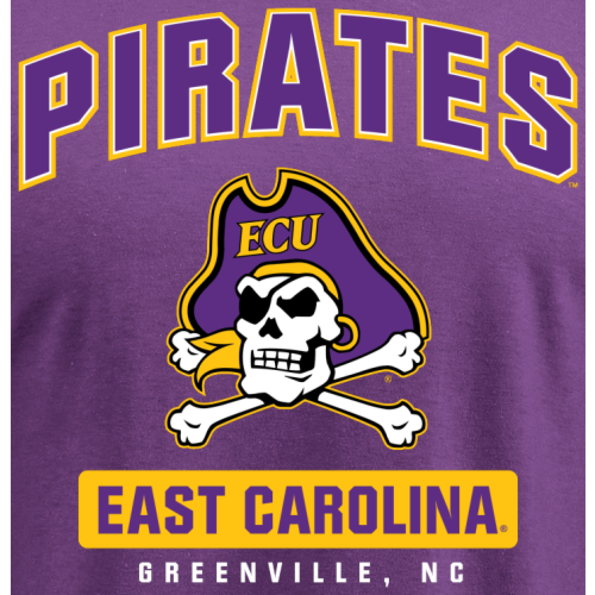 Men's Purple East Carolina Pirates Campus Icon T-Shirt - Image 3