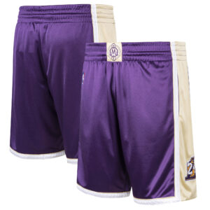 Men's Mitchell & Ness Kobe Bryant Purple Los Angeles Lakers Hall of Fame Class of 2020 Authentic Hardwood Classics Shorts