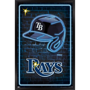 Tampa Bay Rays 24.25" x 35.75" Framed Team Poster