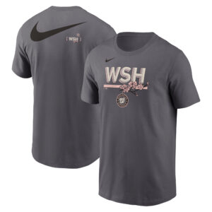 Men's Nike Charcoal Washington Nationals 2-Hit Speed City Connect T-Shirt