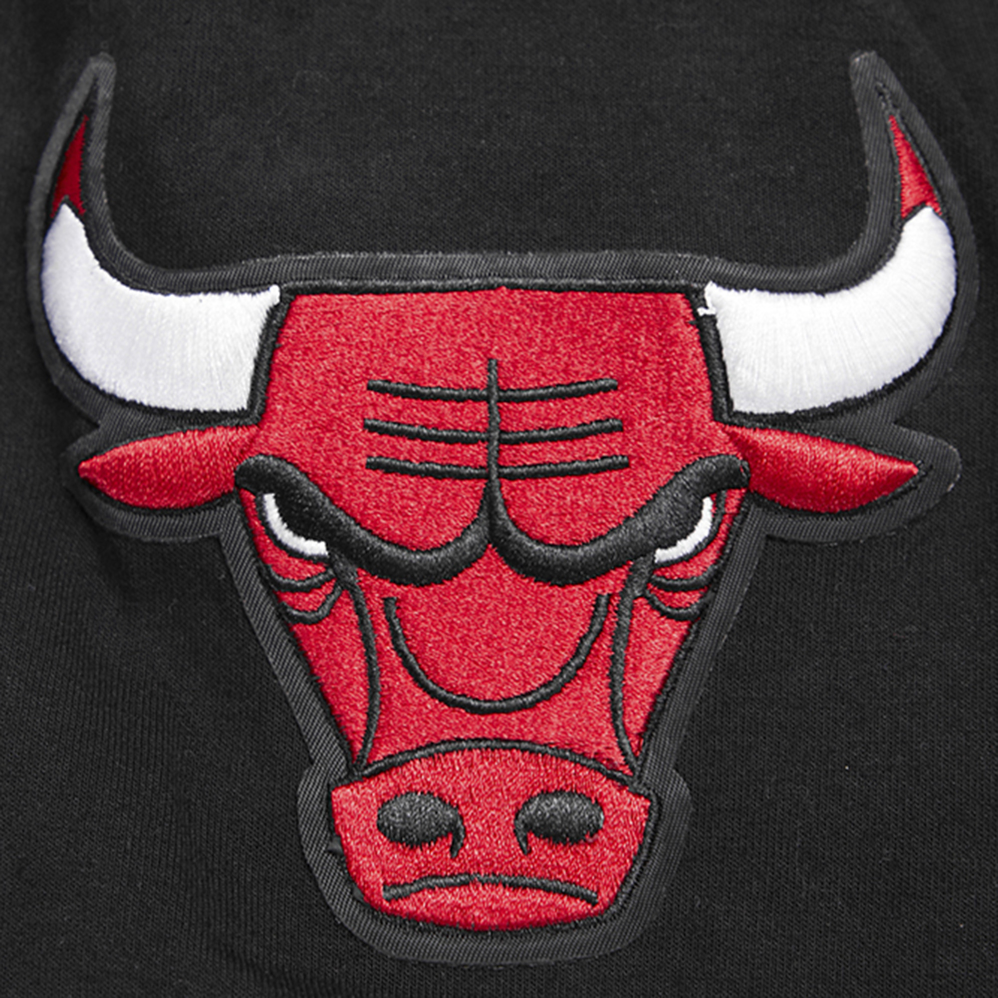 Men's Pro Standard Black Chicago Bulls Classic Warm-Up Full-Snap Jacket - Image 8