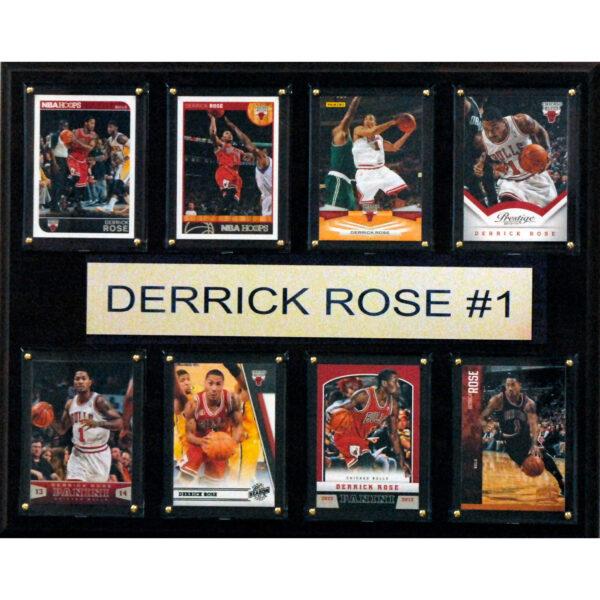 Chicago Bulls 12'' x 15'' Plaque