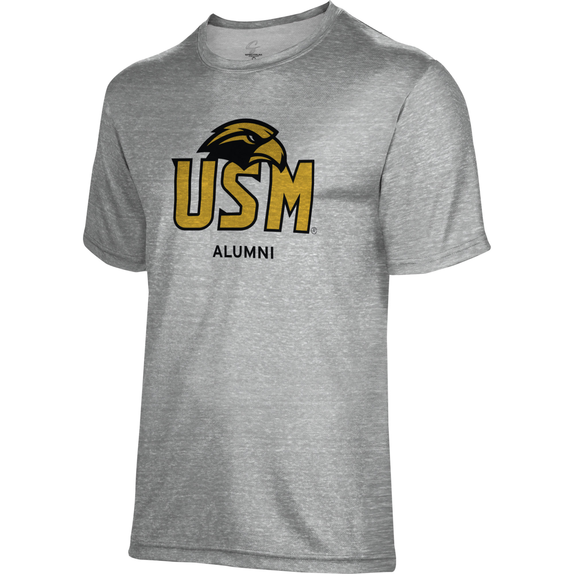 Men's Gray Southern Miss Golden Eagles Alumni Name Drop T-Shirt - Image 3