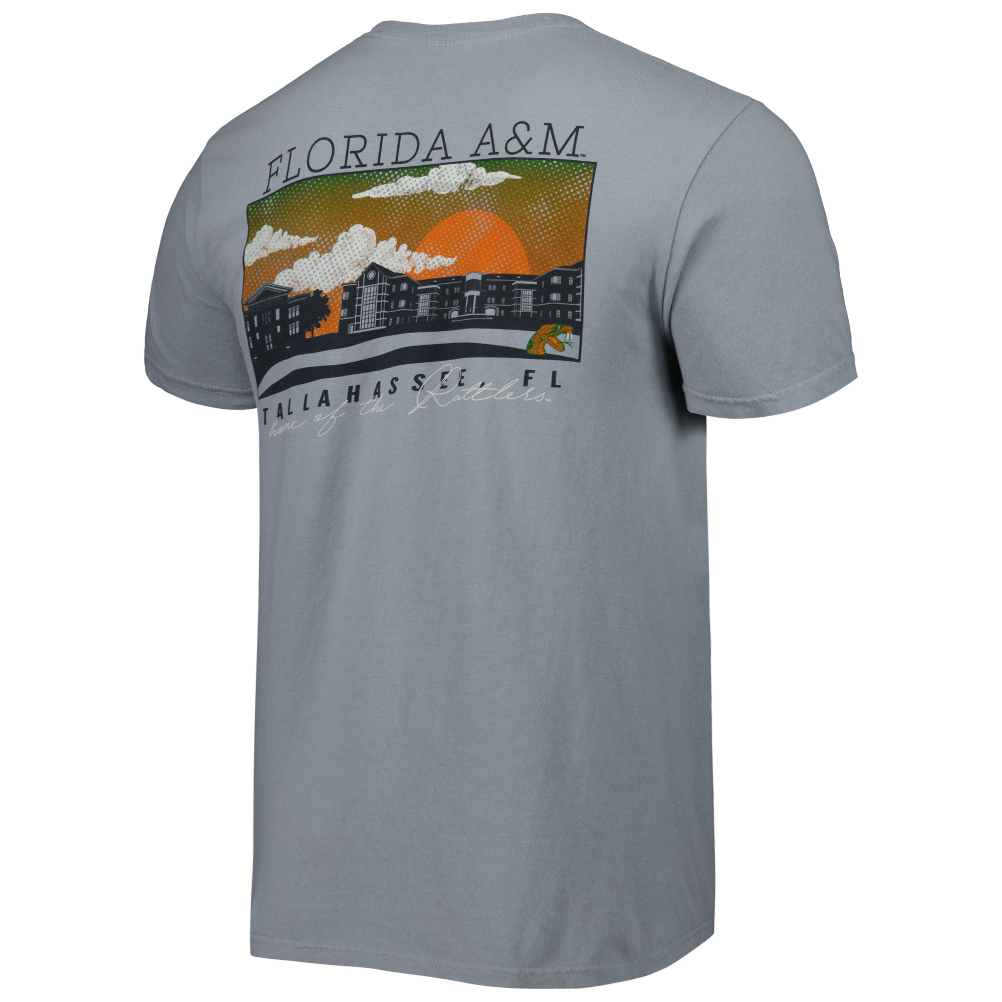 Men's Gray Florida A&M Rattlers Campus Scenery Comfort Color T-Shirt - Image 4