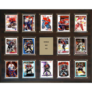 Patrick Roy Montreal Canadiens 16'' x 20'' Plaque