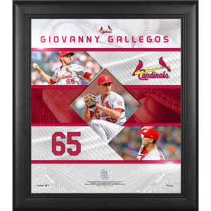 Giovanny Gallegos St. Louis Cardinals Framed 15" x 17" Stitched Stars Collage