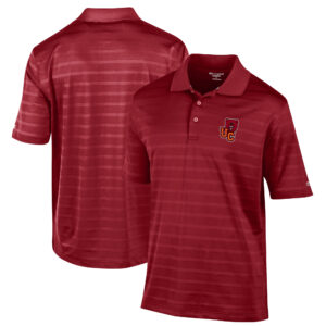 Men's Champion Cardinal Ursinus Bears Textured Solid Polo