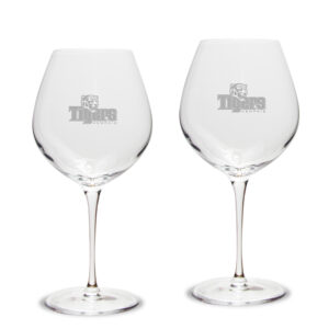 Memphis Tigers 2-Piece 22oz. Luigi Bormioli Titanium Robusto Wine Glass Set