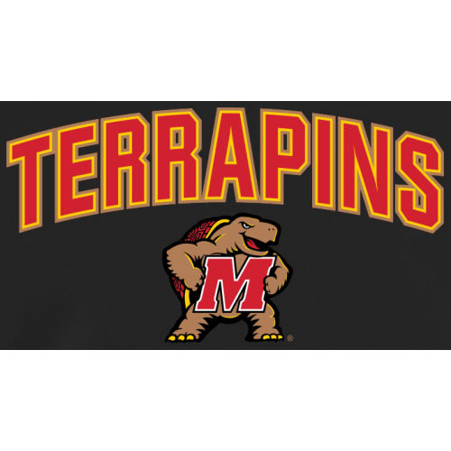 Gold Maryland Terrapins Proud Mascot Pullover Hoodie - Image 3