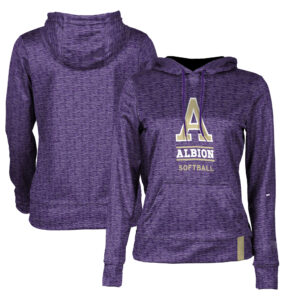 Women's Purple Albion Britons Softball Pullover Hoodie