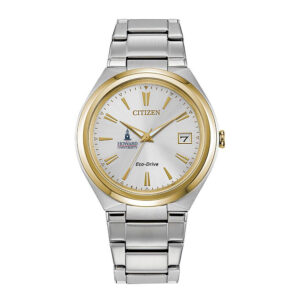 Women's  Silver/Gold Howard Bison Eco-Drive Two-Tone Watch