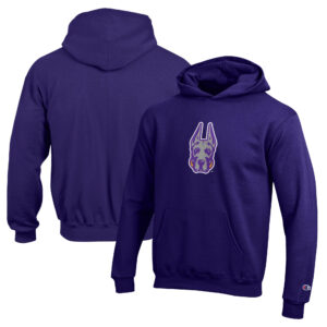 Youth Champion Purple Albany Great Danes Eco Powerblend Pullover Hoodie